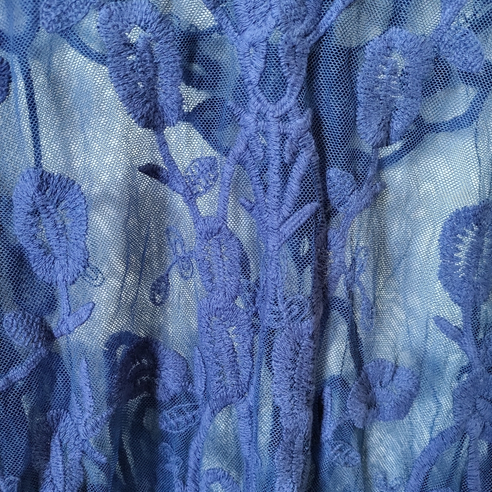 Cupio Sheer Lace Top - image 6